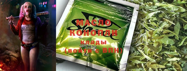молекула духа Горняк