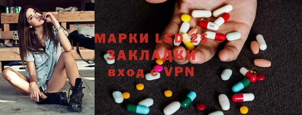 индика Горно-Алтайск
