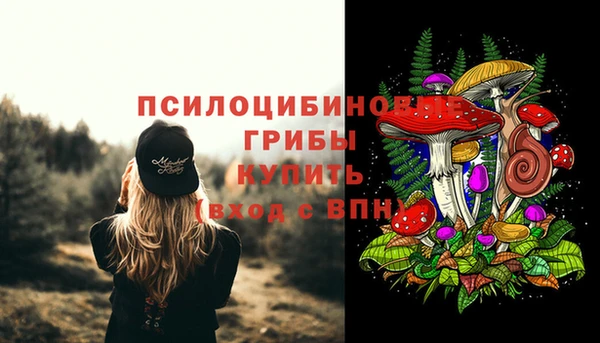 индика Горно-Алтайск