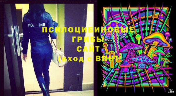 молекула духа Горняк
